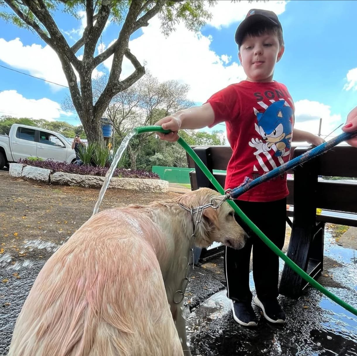 WhatsApp Image 2026-02-01 at 19.21.05