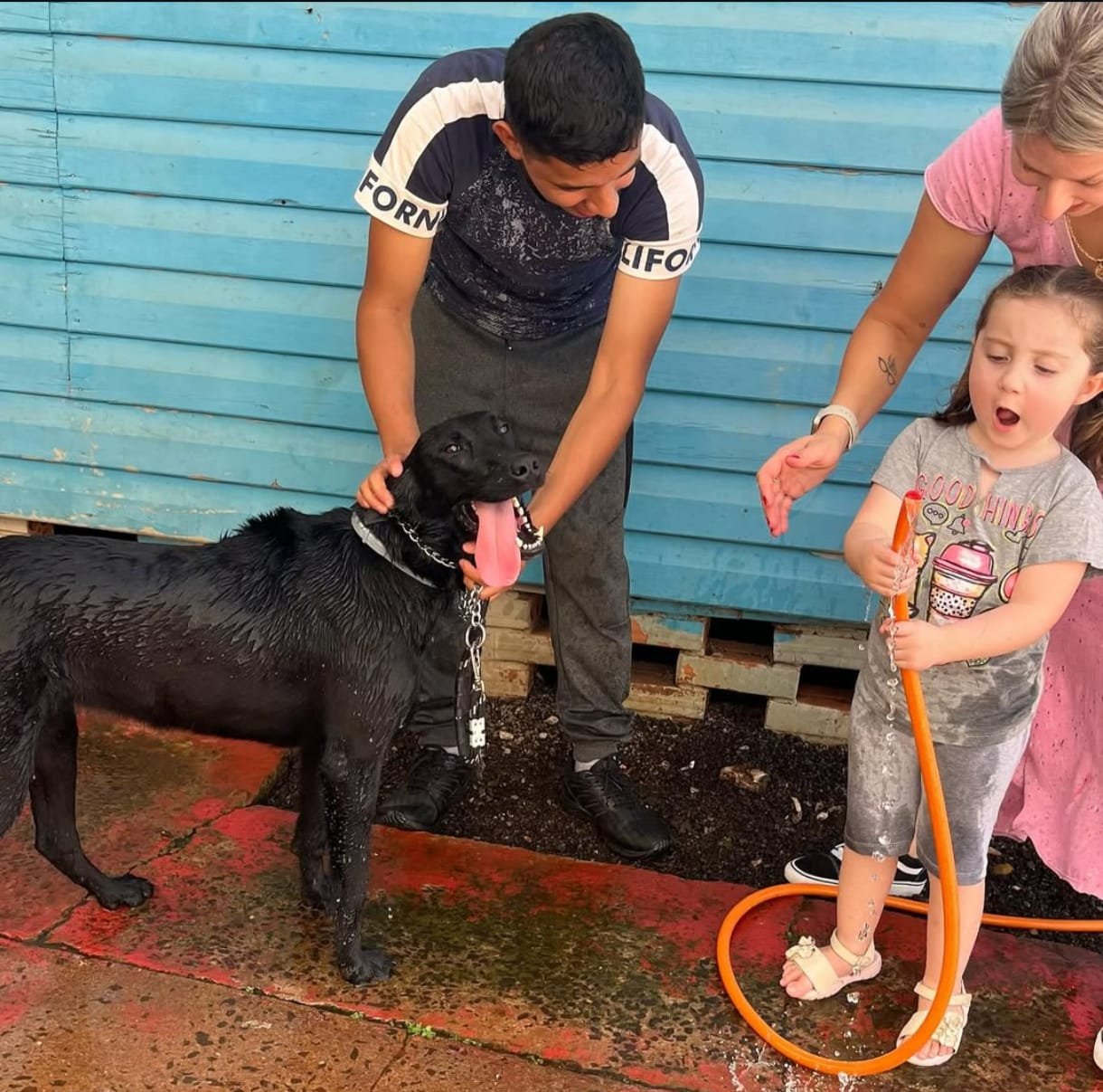 WhatsApp Image 2026-02-02 at 15.04.09 (1)