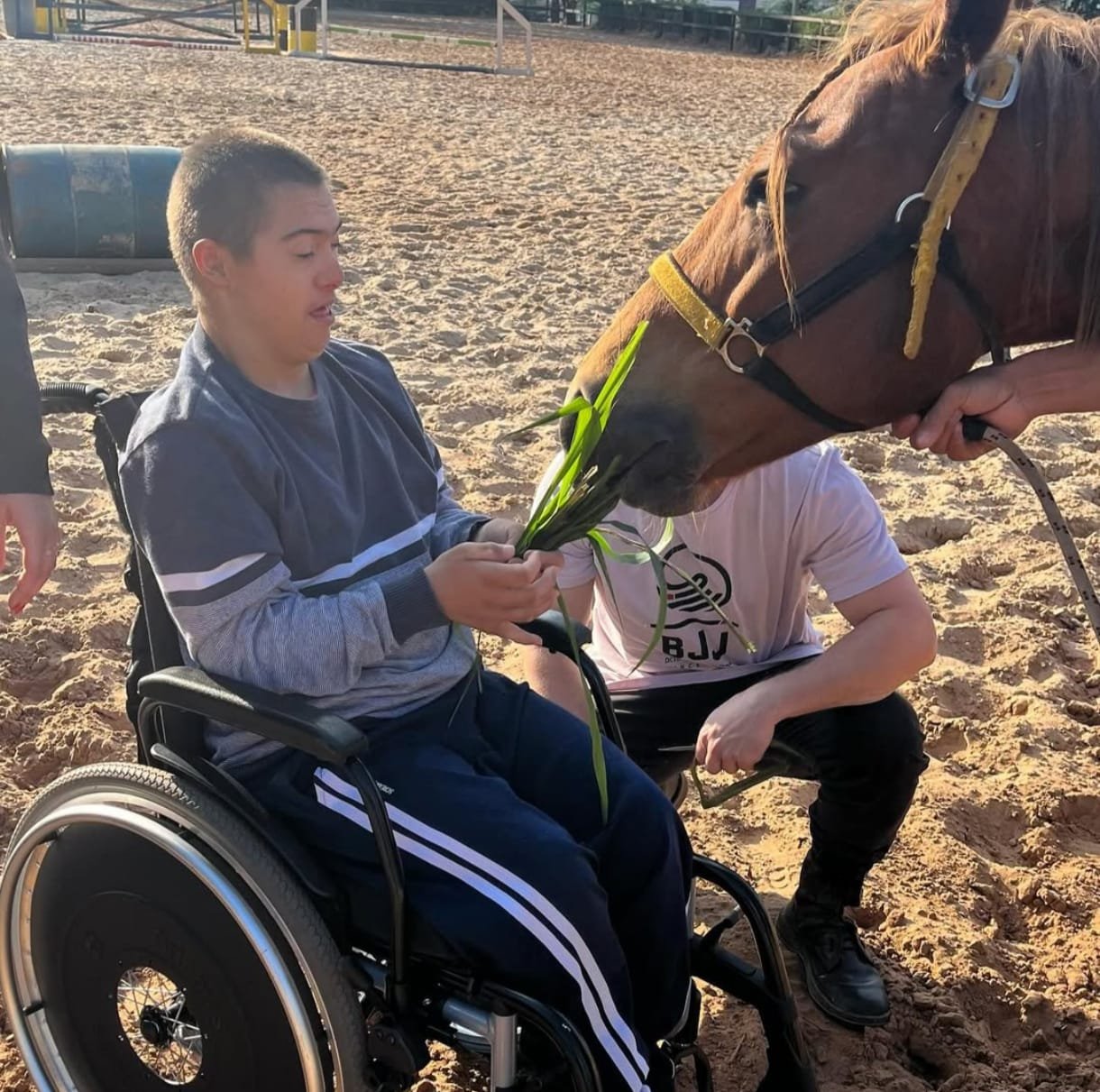 WhatsApp Image 2026-02-02 at 16.10.34