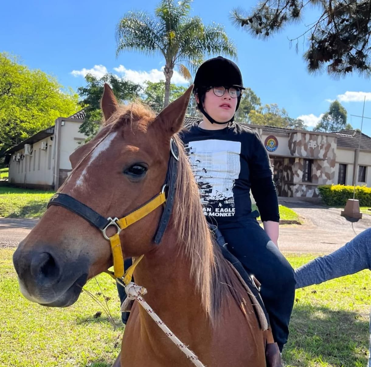 WhatsApp Image 2026-02-02 at 16.10.36